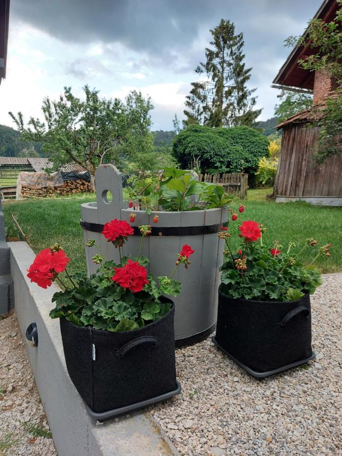 Pr' Sovarjo Zgornje Gorje Exteriör bild
